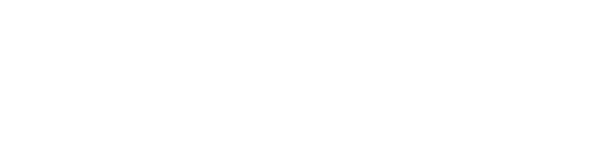 logo realvalue consulting h 512 bianco